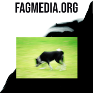 Fagmedia.online